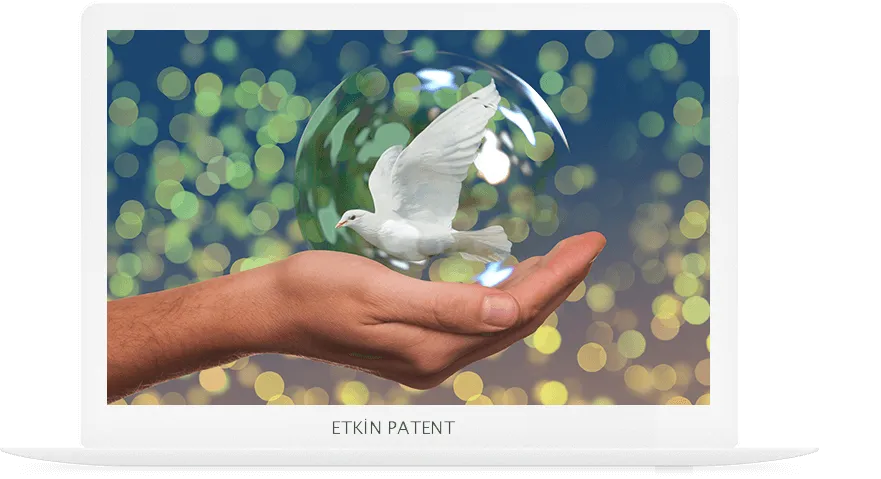 faydalı model on koruma yöntemleri-ağrı patent