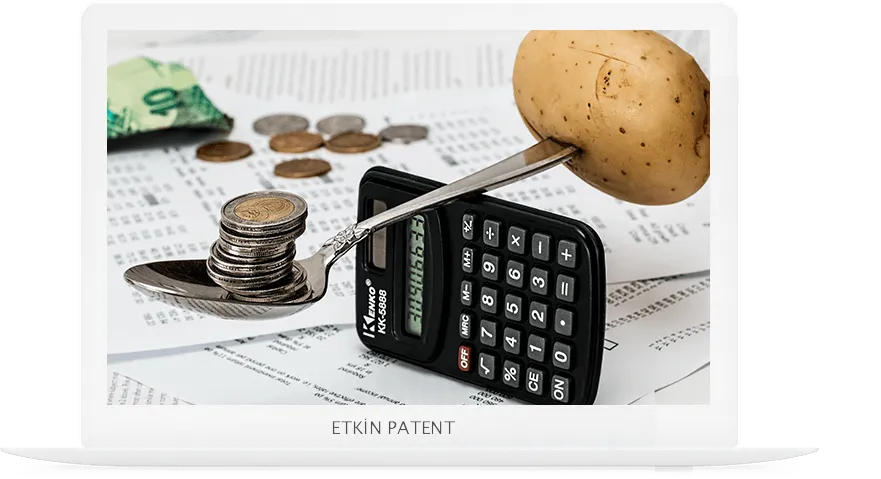 finansal davranışlara dair kombinasyon modeller-ağrı patent