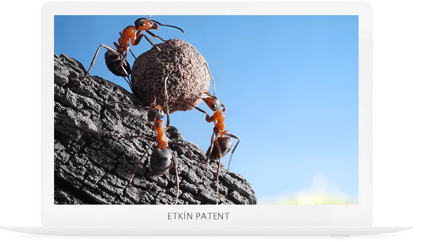 marka tescil sorgulama kriterleri-ağrı patent